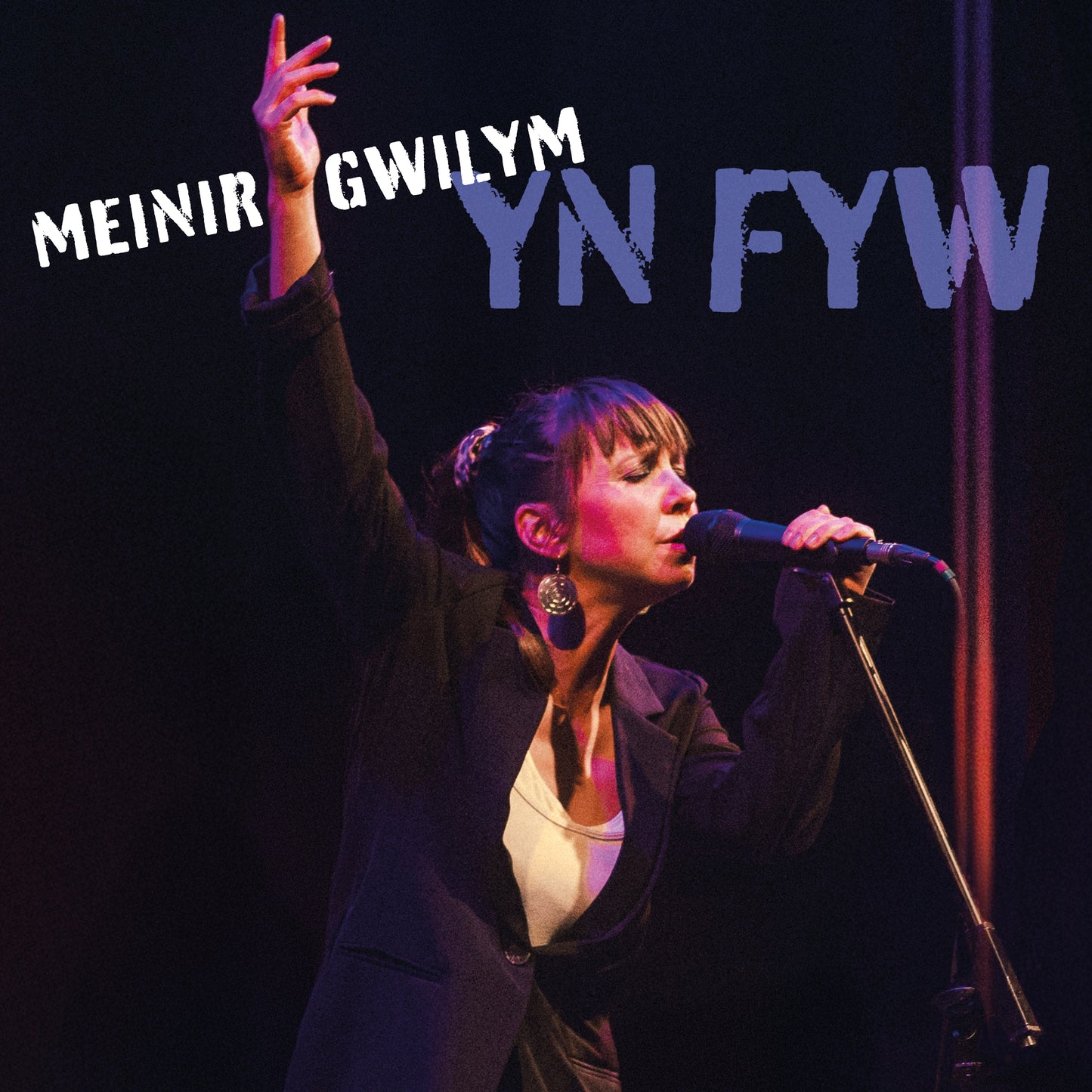 Meinir Gwilym - Yn Fyw