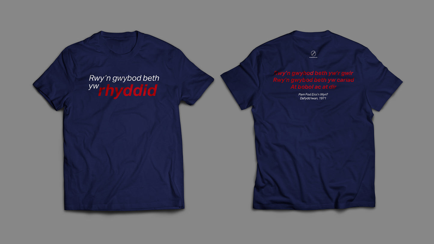Pam fod eira’r wyn? Dafydd Iwan T-Shirt - SMALL