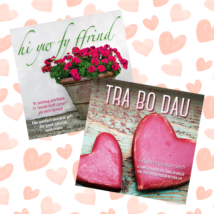 St Dwynwen's Day / Valentine's Day