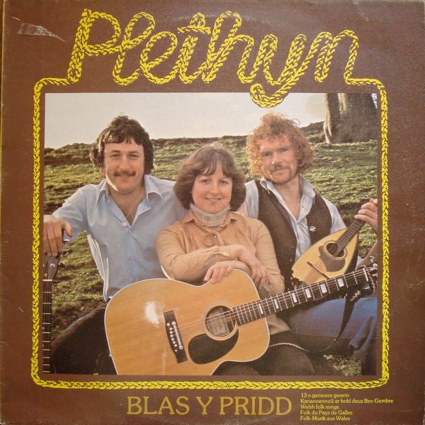 Blas Y Pridd
