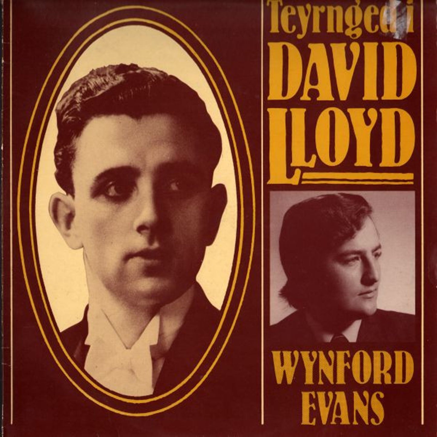 Teyrnged i David Lloyd