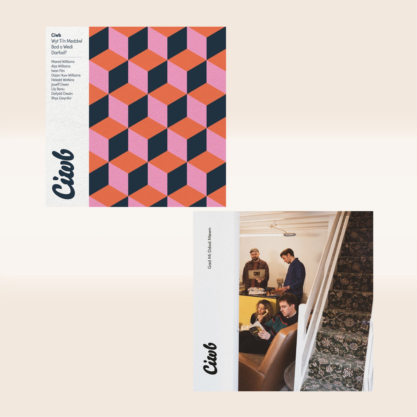 2 Ciwb CD for £19.99