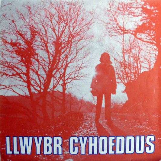 Dawns y Dail / Yn Yr Oriel
