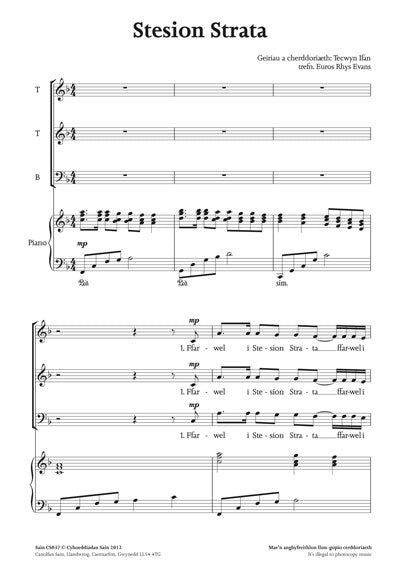 Stesion Strata (ttb) ~ Lawrlwytho yn unig (PDF)