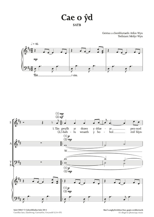 Cae o Ŷd (satb)