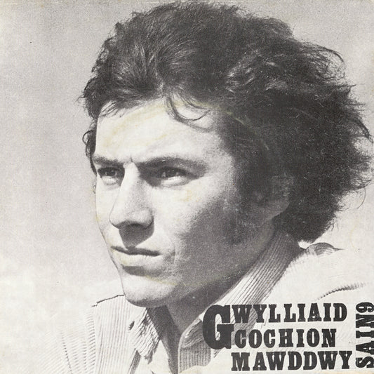 Gwylliaid Cochion Mawddwy (2 mewn stoc)