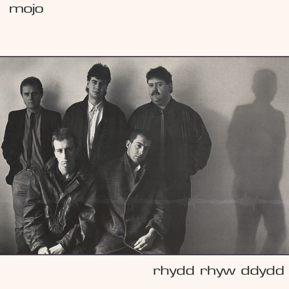 Rhydd Rhyw Ddydd