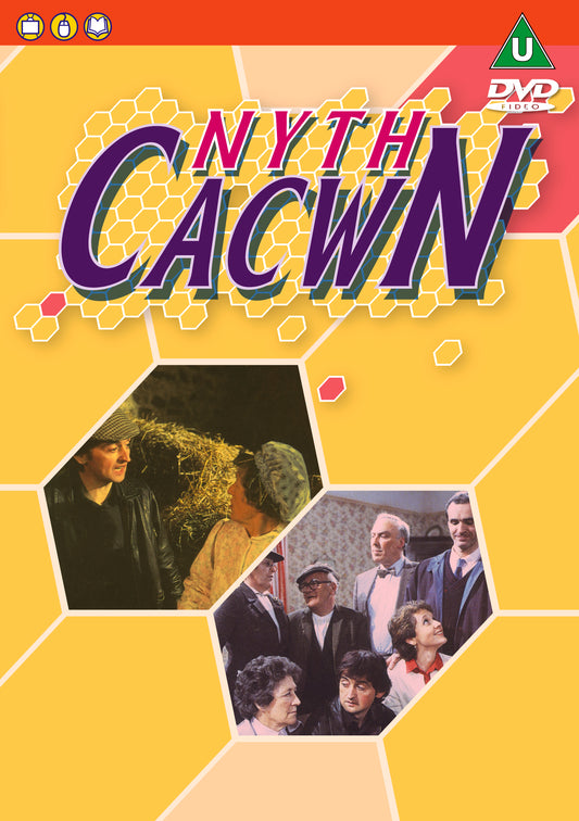 Nyth Cacwn