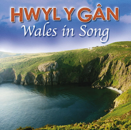 Hwyl y Gân