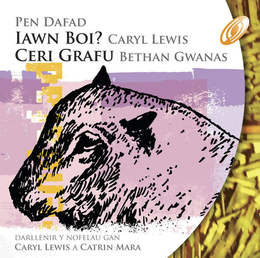 Cyfres Pen Dafad 2 - Iawn Boi? / Ceri Grafu