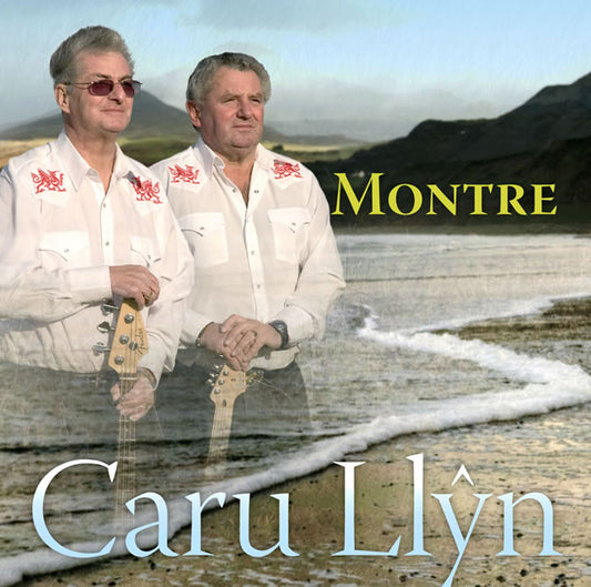 Caru Llŷn